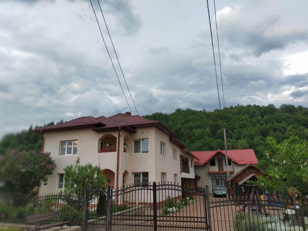 Casa Irina Hotel Mînăstirea Humorului Екстериор снимка